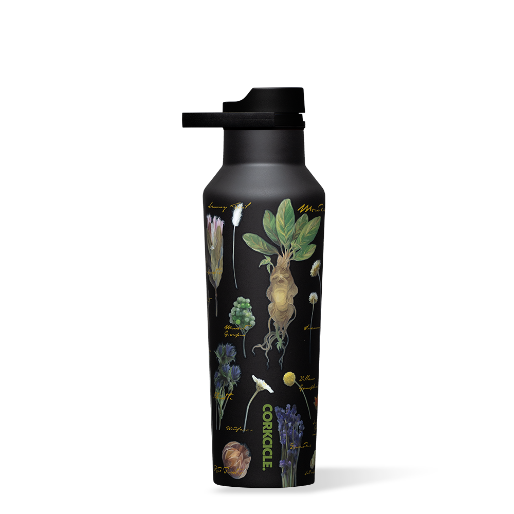 Harry Potter Sport Canteen - Outdoor Clean Pick Set